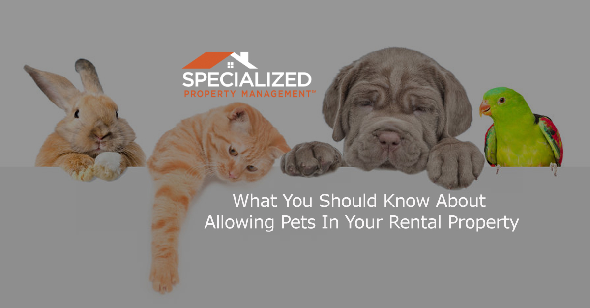 rental property pets Property Management Birmingham