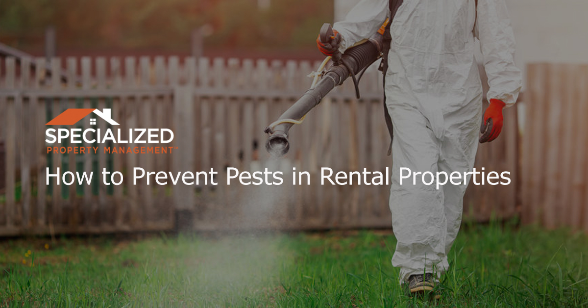 How to Prevent Pests in Rental Properties